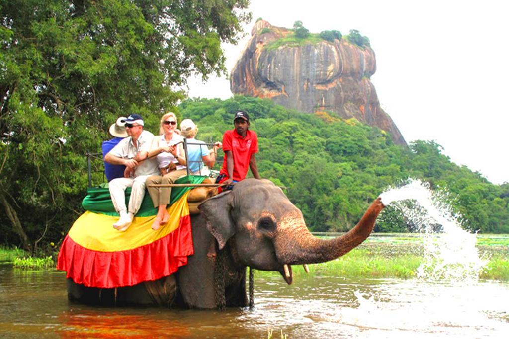 Lumbini Villa Bentota Værelse billede
